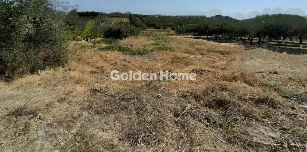 Building Plot in Kollivas, Gazi — Photo 11 of 11