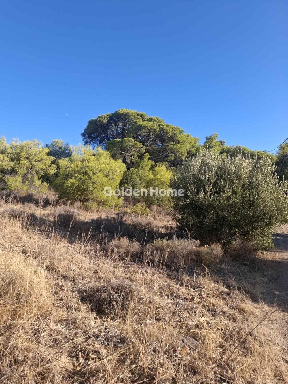 Οικόπεδο στην Μεγάλο Ντορότο, Σαλαμίνα — Φωτογραφία 2 από 3