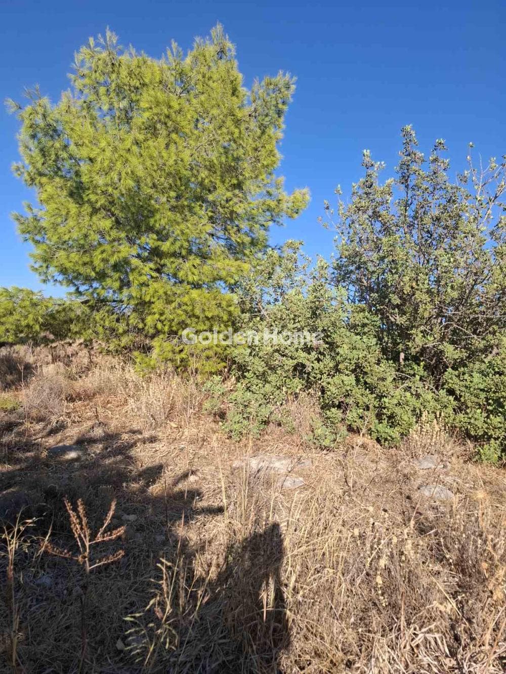 Οικόπεδο στην Μεγάλο Ντορότο, Σαλαμίνα — Φωτογραφία 3 από 3