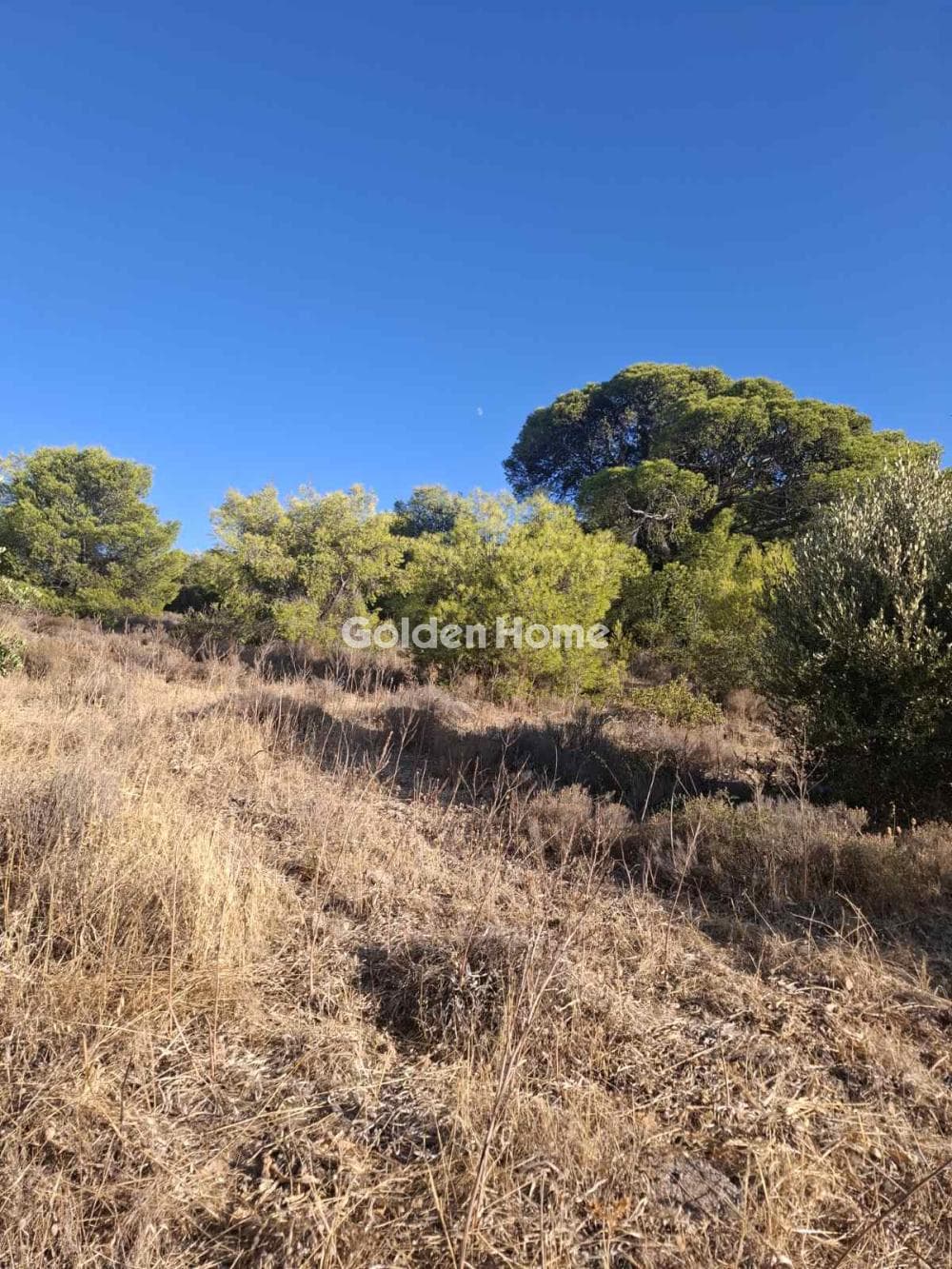 Οικόπεδο στην Μεγάλο Ντορότο, Σαλαμίνα — Φωτογραφία 1 από 3