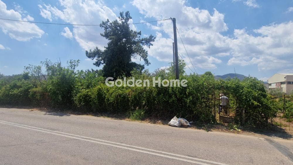 Αγροτεμάχιο στην Κοσμοθέα, Αφίδνες — Φωτογραφία 2 από 2