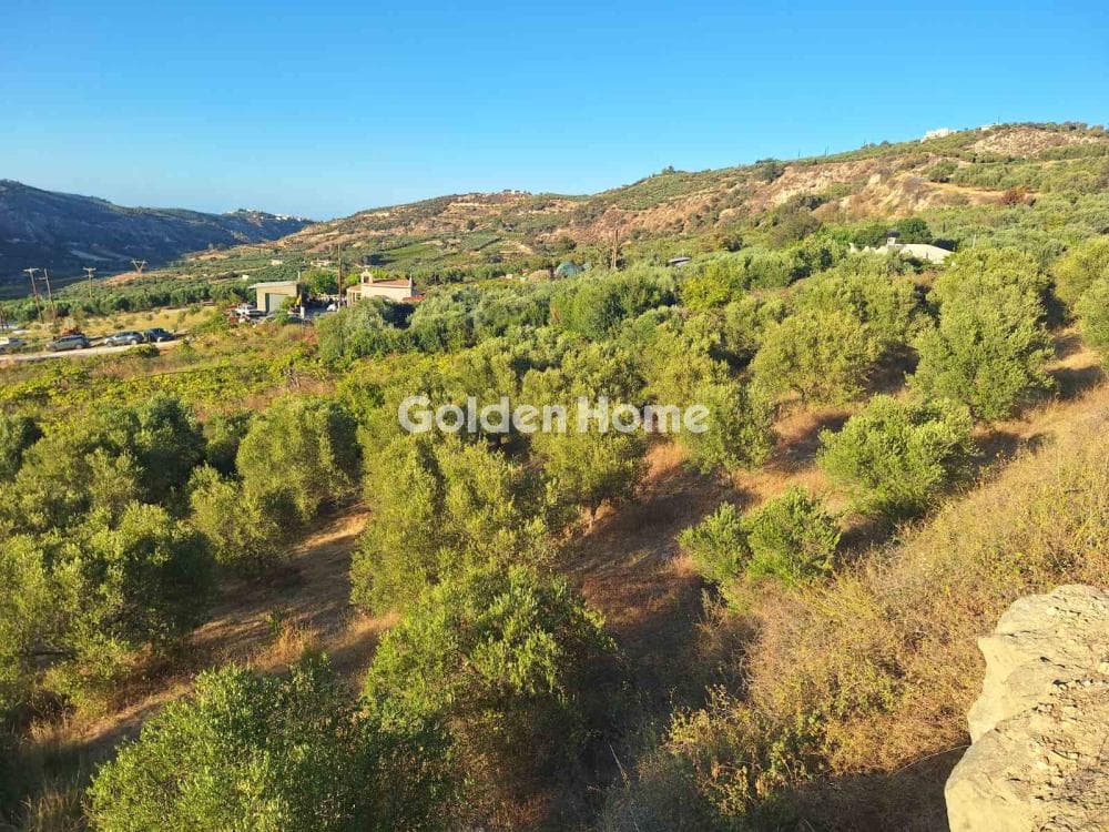 Οικόπεδο στην Δαφνές, Τετραχώρι — Φωτογραφία 3 από 6