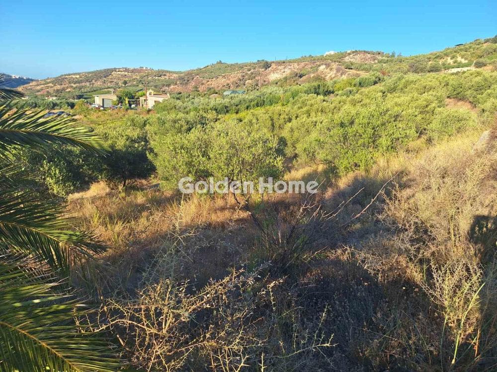 Οικόπεδο στην Δαφνές, Τετραχώρι — Φωτογραφία 2 από 6