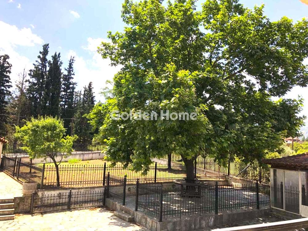 Μονοκατοικία στην Πολύδροσος, Παρνασσός — Φωτογραφία 2 από 17