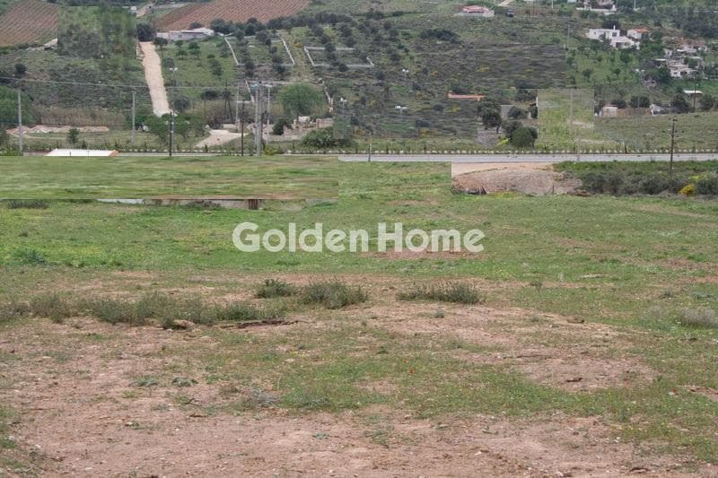 Αγροτεμάχιο στην Διψέλιζα, Κερατέα — Φωτογραφία 2 από 3
