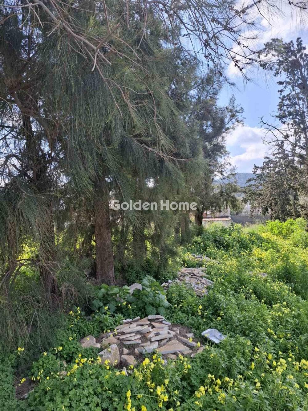 Building Plot in Agia Paraskevi, Salamina — Photo 5 of 5