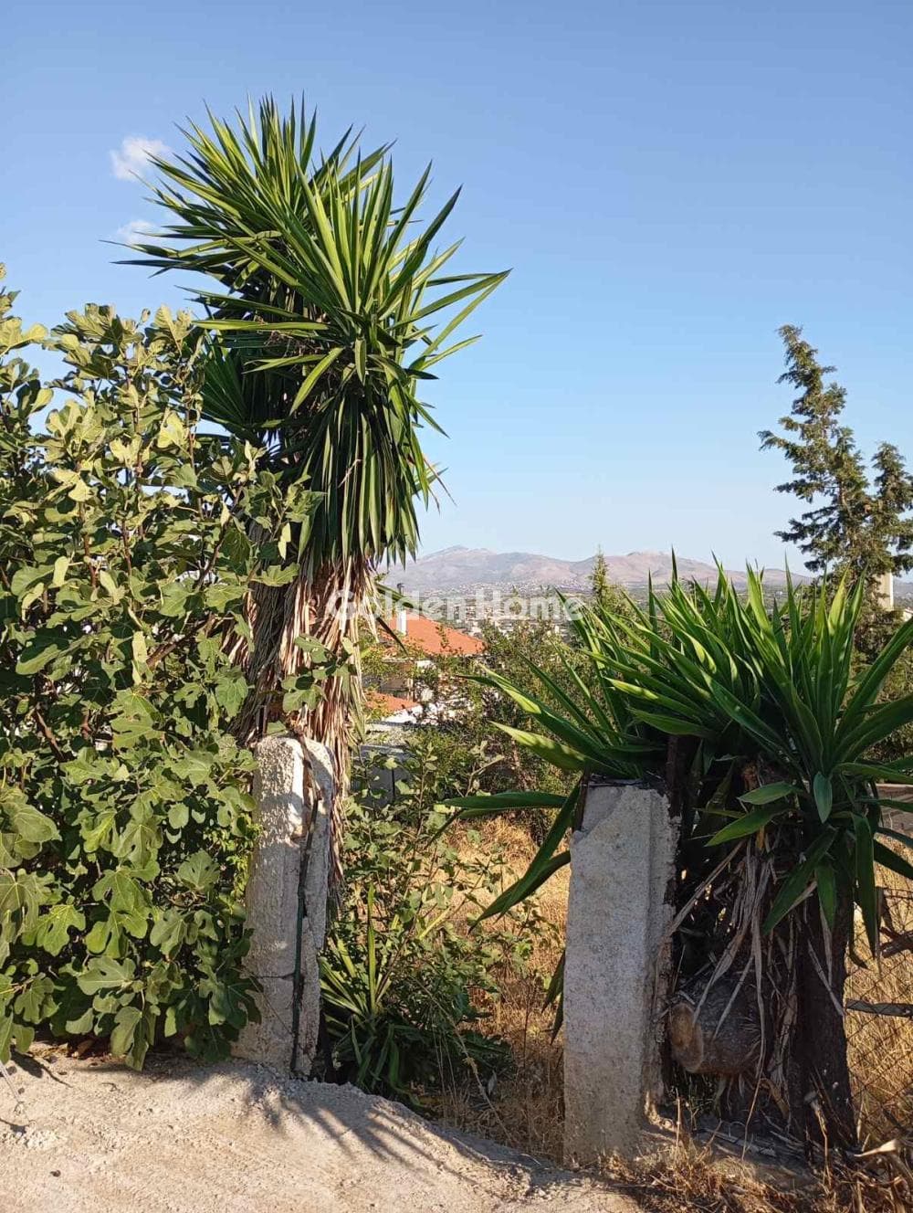 Οικόπεδο στην Βορινέζα, Αρτέμιδα (Λούτσα) — Φωτογραφία 3 από 4