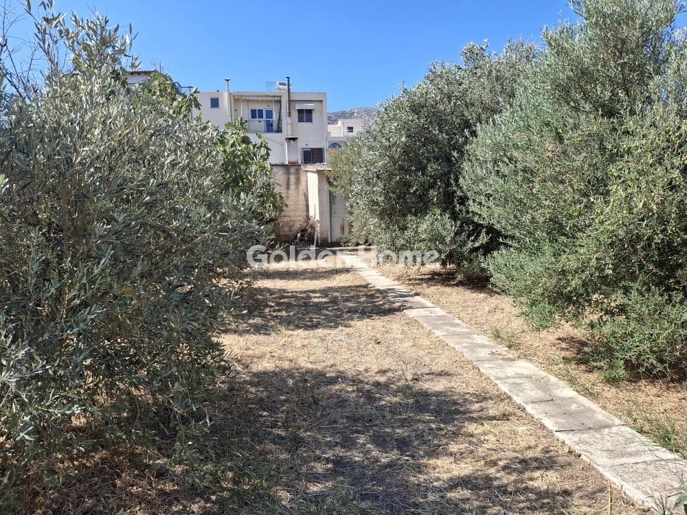 House in Venio Daskaleiou, Keratea — Photo 19 of 19