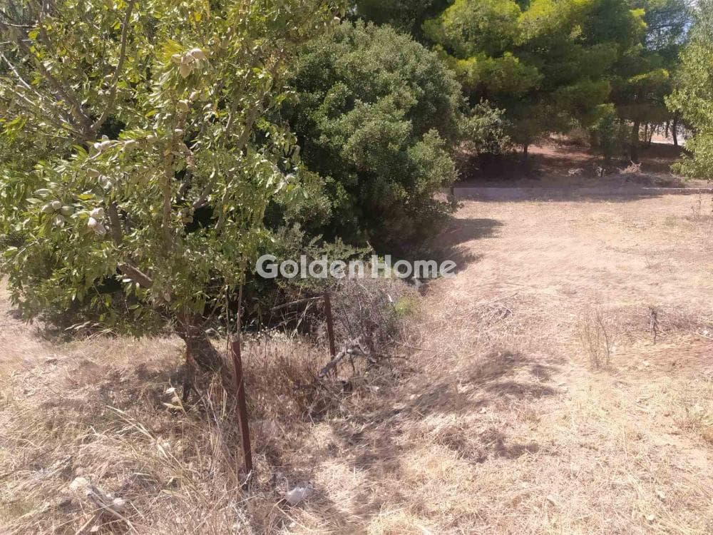 Οικόπεδο στην Άγιος Αθανάσιος, Παλλήνη — Φωτογραφία 1 από 4