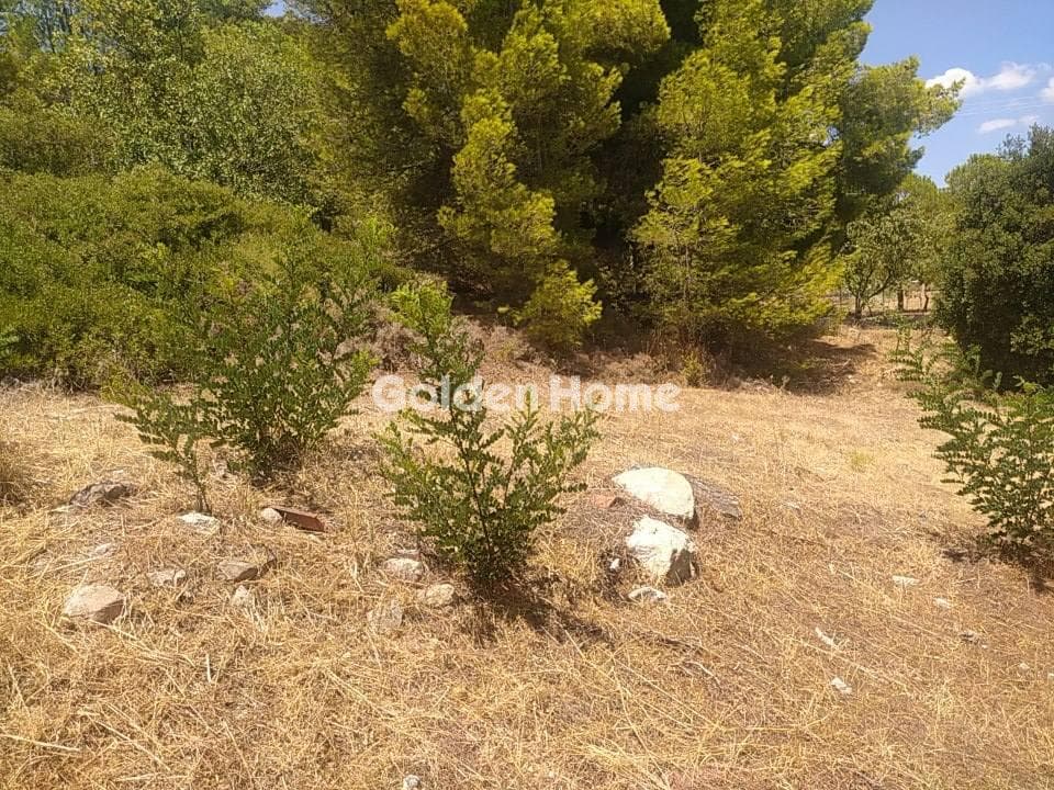 Οικόπεδο στην Άγιος Αθανάσιος, Παλλήνη — Φωτογραφία 2 από 4