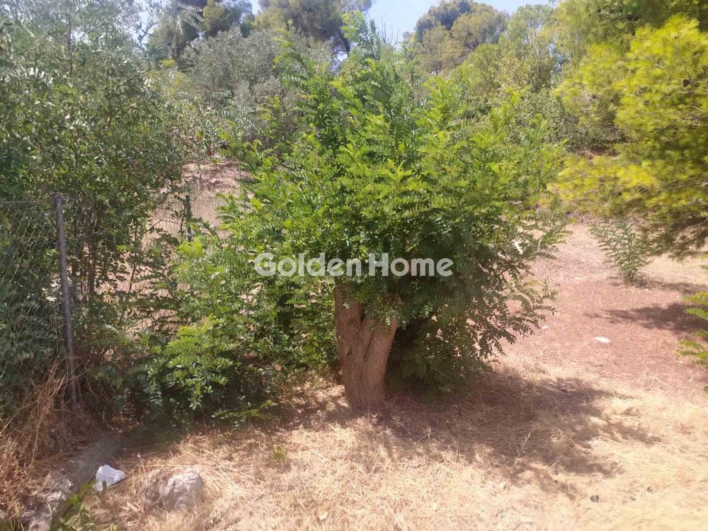 Οικόπεδο στην Άγιος Αθανάσιος, Παλλήνη — Φωτογραφία 3 από 4