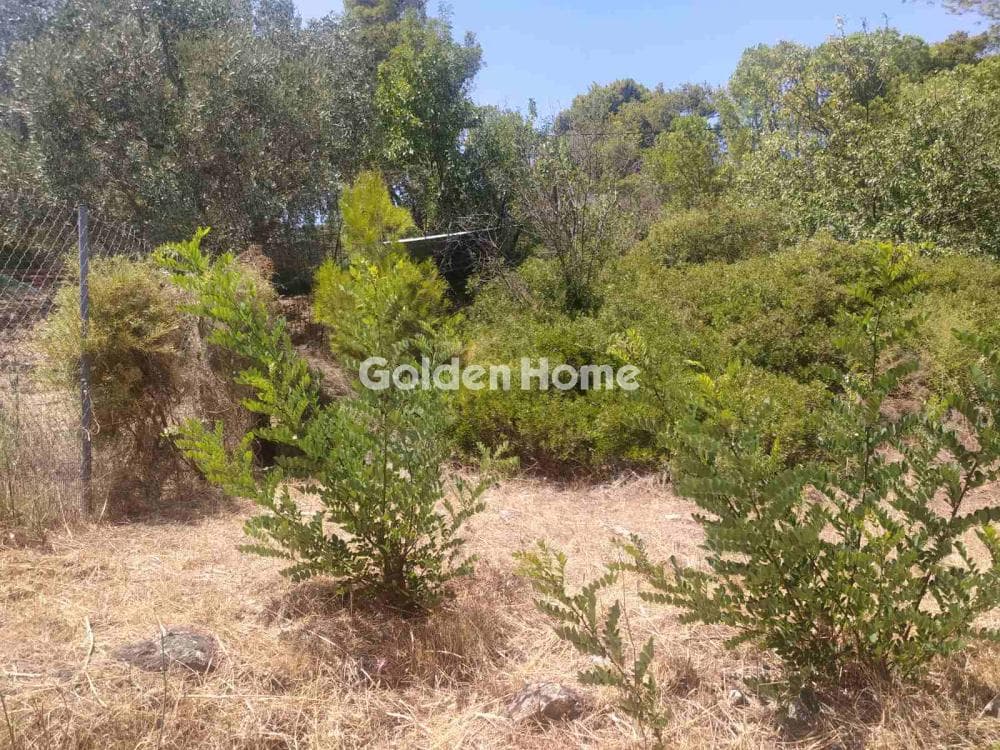 Οικόπεδο στην Άγιος Αθανάσιος, Παλλήνη — Φωτογραφία 4 από 4