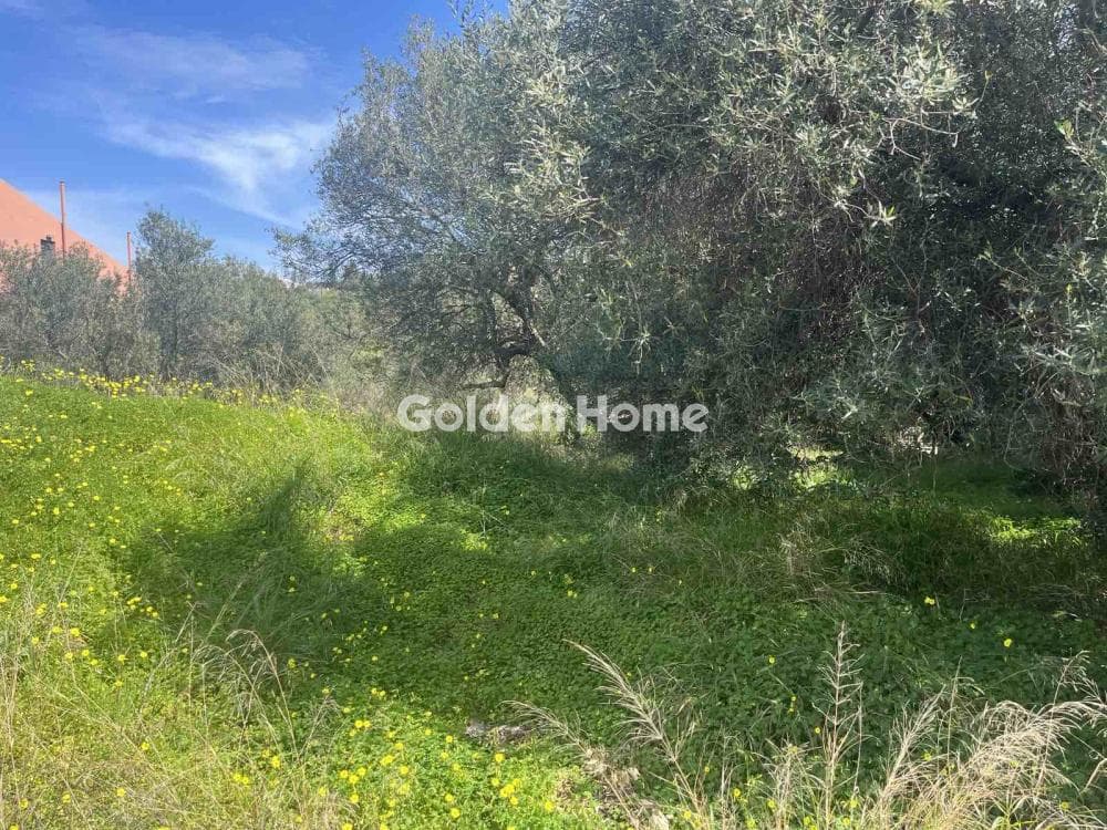 Building Plot in Agios Ioannis Knossou, Heraclion Cretes — Photo 2 of 4