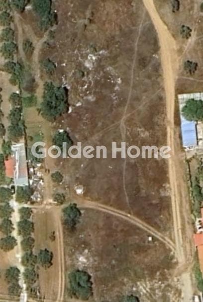 Building Plot in Agia Triada, Markopoulo — Photo 1 of 2