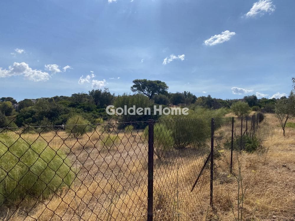 Building Plot in Agia Marina, Koropi — Photo 3 of 9