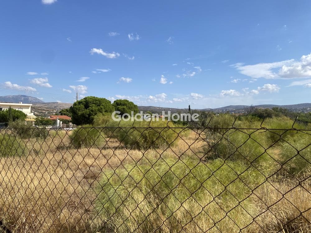 Building Plot in Agia Marina, Koropi — Photo 6 of 9
