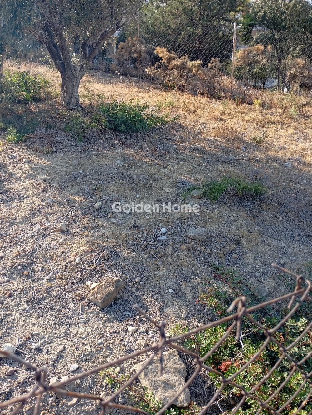 Building Plot in Center, Rafina — Photo 3 of 3