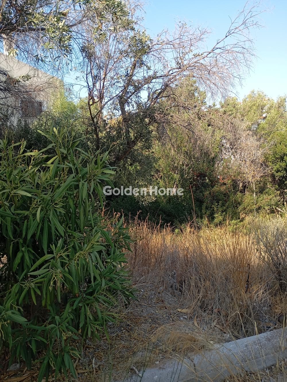 Building Plot in Mple Limanaki, Rafina — Photo 2 of 3