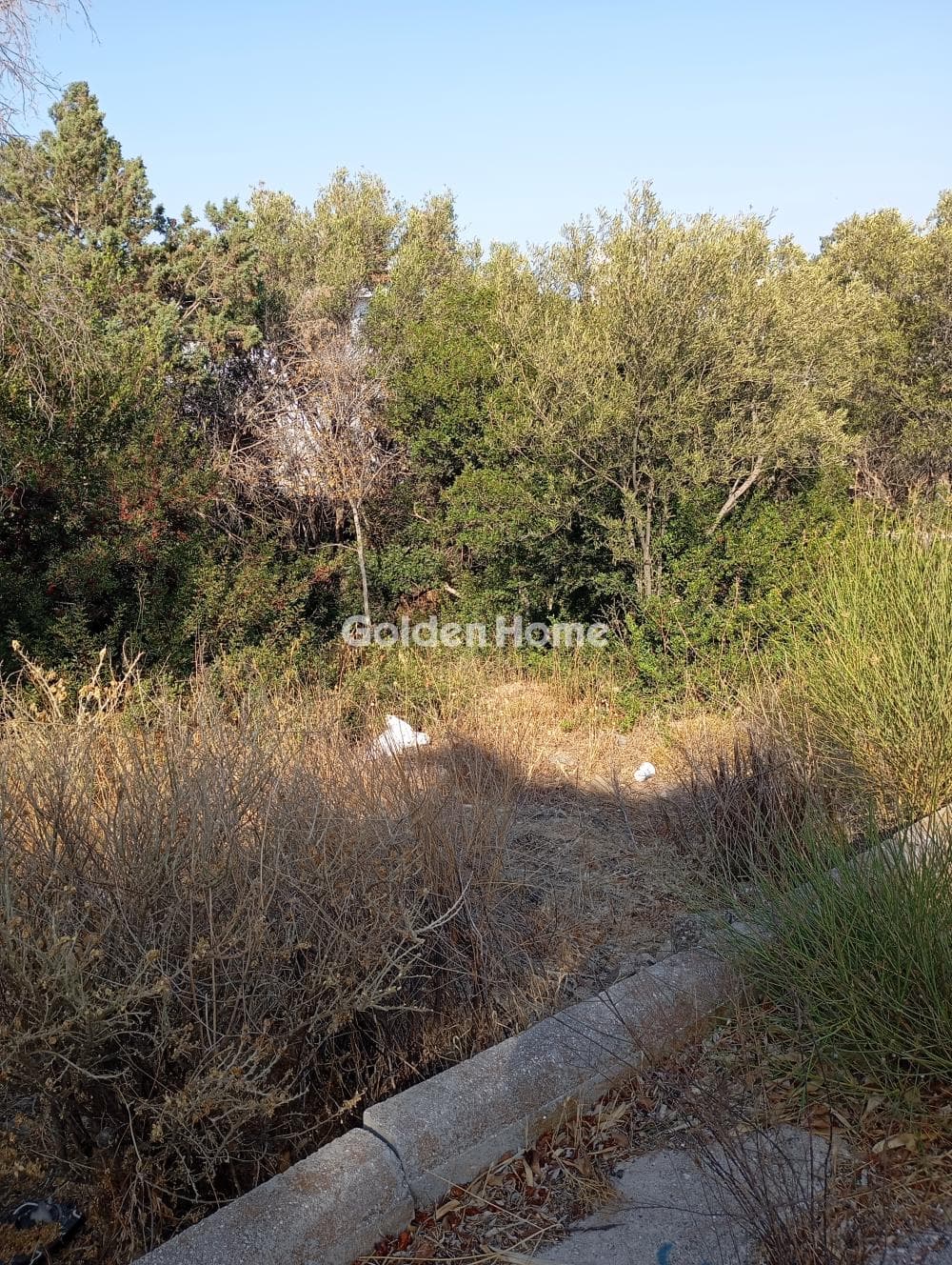Building Plot in Mple Limanaki, Rafina — Photo 3 of 3