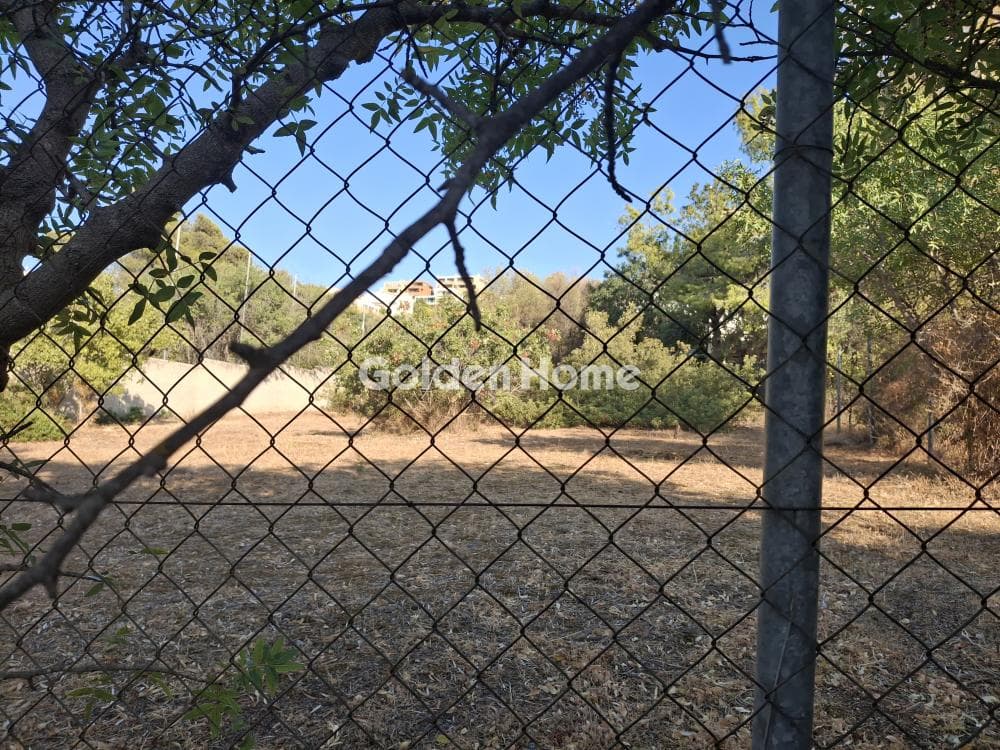 Οικόπεδο στην Σαρωνίδα, Σαρωνίδα — Φωτογραφία 2 από 4