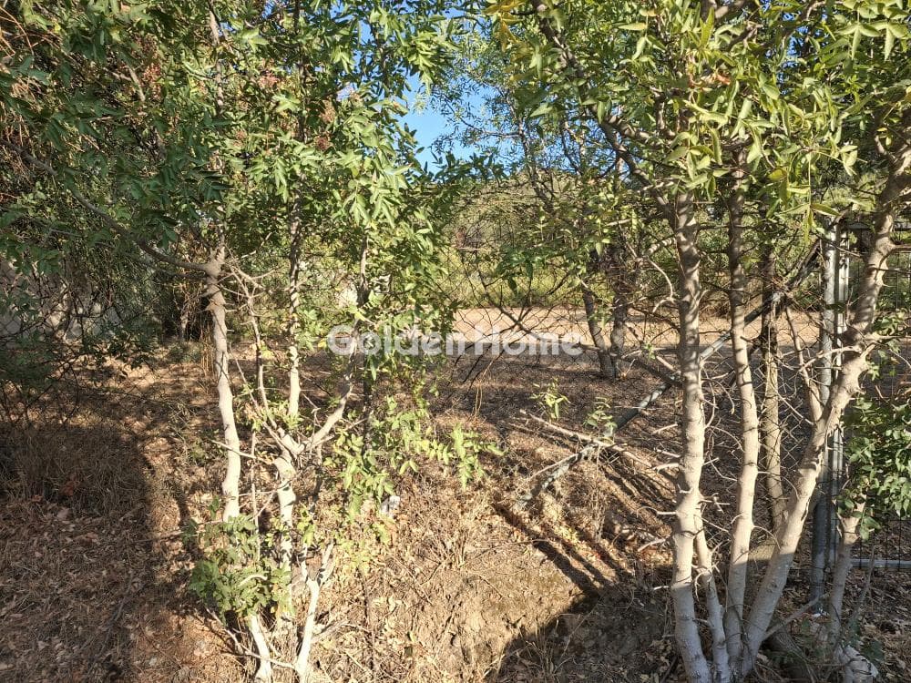 Οικόπεδο στην Σαρωνίδα, Σαρωνίδα — Φωτογραφία 3 από 4
