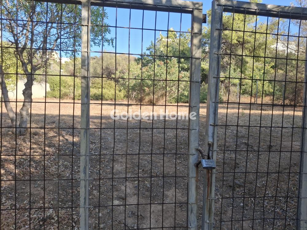 Οικόπεδο στην Σαρωνίδα, Σαρωνίδα — Φωτογραφία 1 από 4