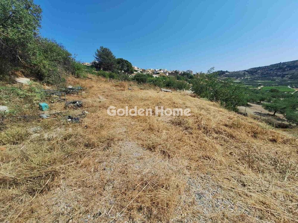 Building Plot in Dafnes, Tetrachori — Photo 3 of 6