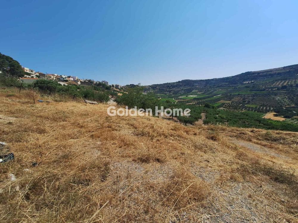 Building Plot in Dafnes, Tetrachori — Photo 2 of 6