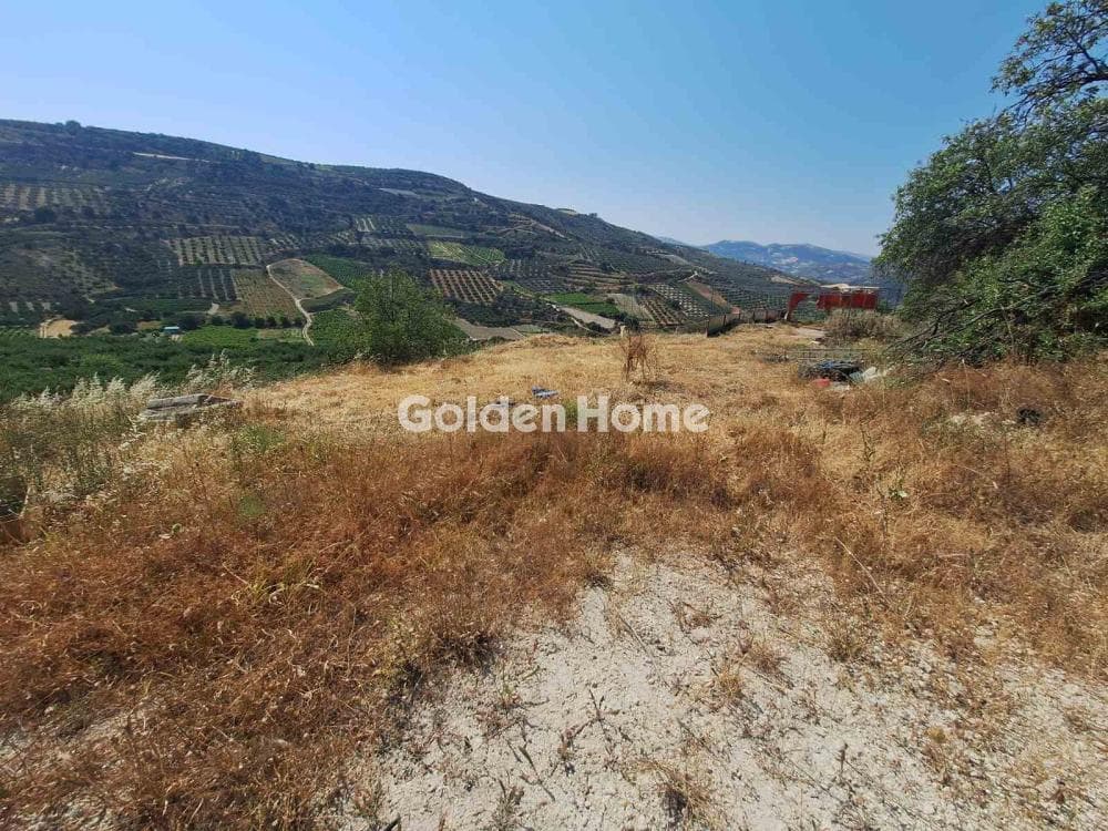 Building Plot in Dafnes, Tetrachori — Photo 4 of 6