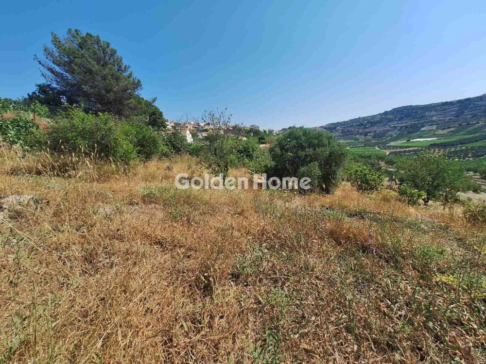 Building Plot in Dafnes, Tetrachori — Photo 5 of 6