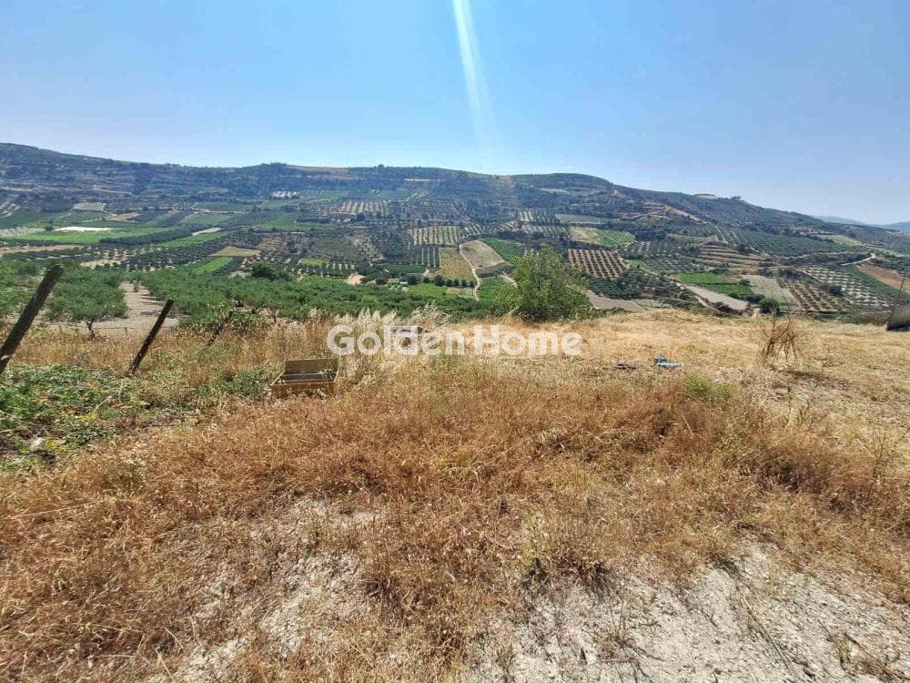 Building Plot in Dafnes, Tetrachori — Photo 6 of 6