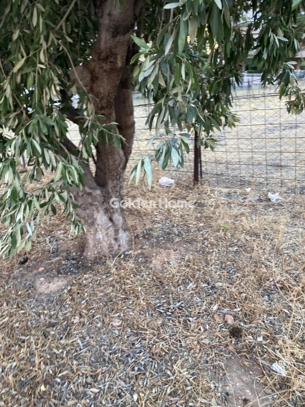 Αγροτεμάχιο στην Αγία Μαρίνα, Παιανία