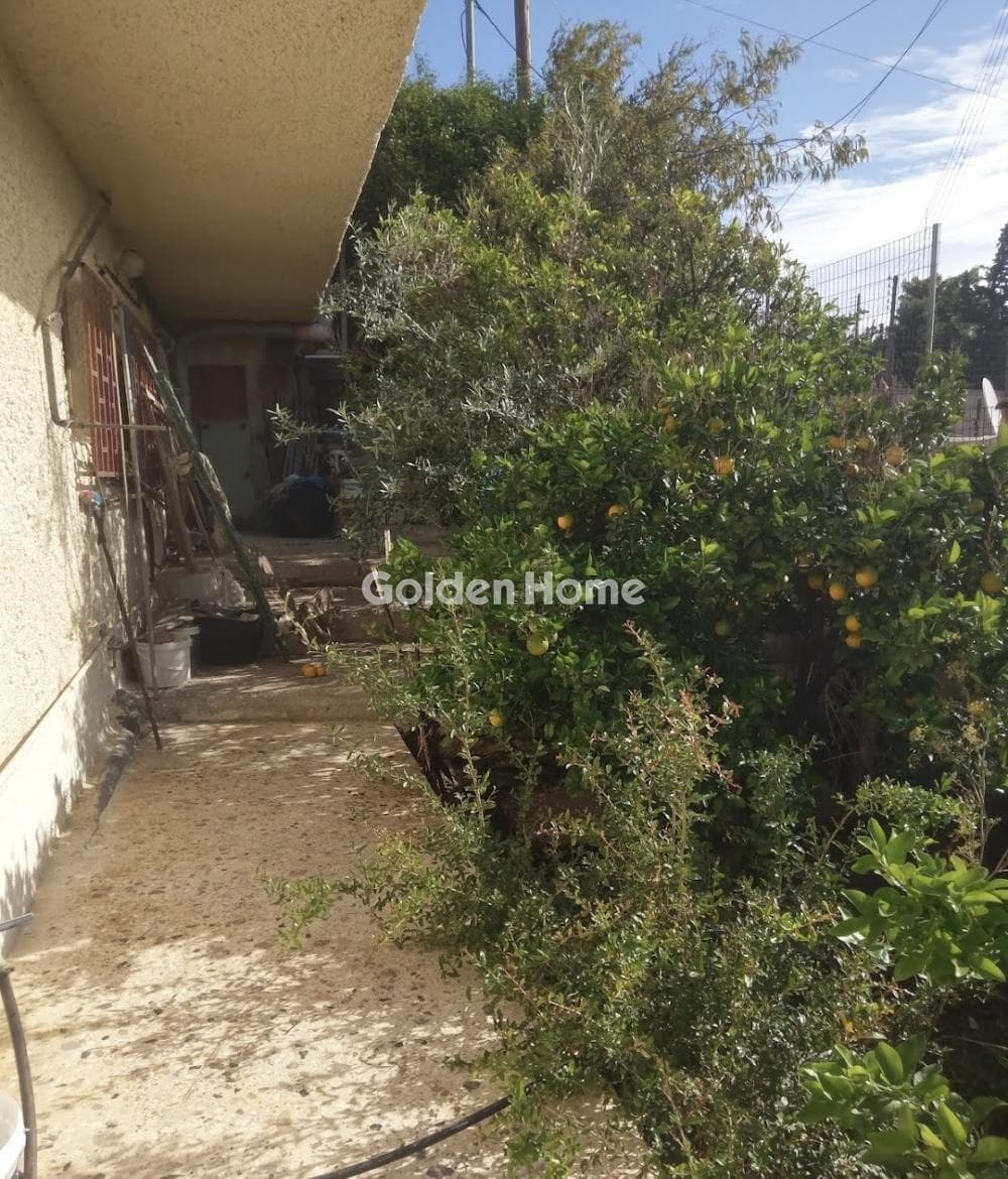 House in Panorama Mikrolimanou, Lavrio — Photo 4 of 13