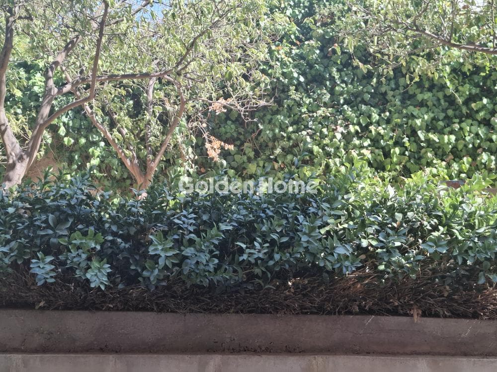 Διαμέρισμα στην Χρυσαλλίδα, Ηλιούπολη — Φωτογραφία 39 από 42