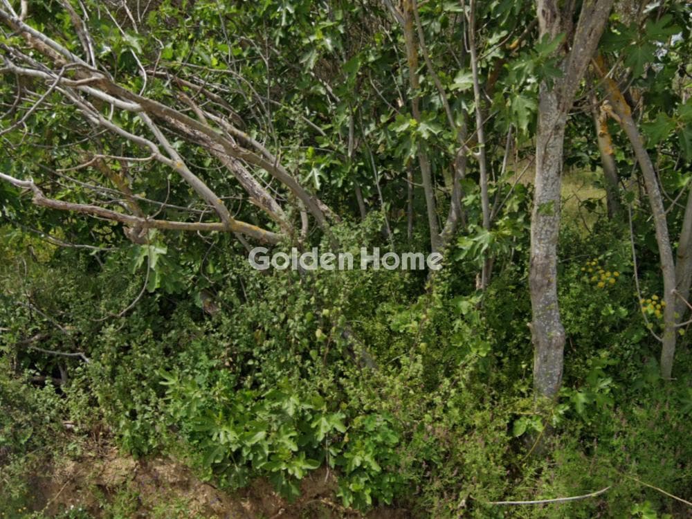 House in Nea Raidestos, Thermi — Photo 5 of 7