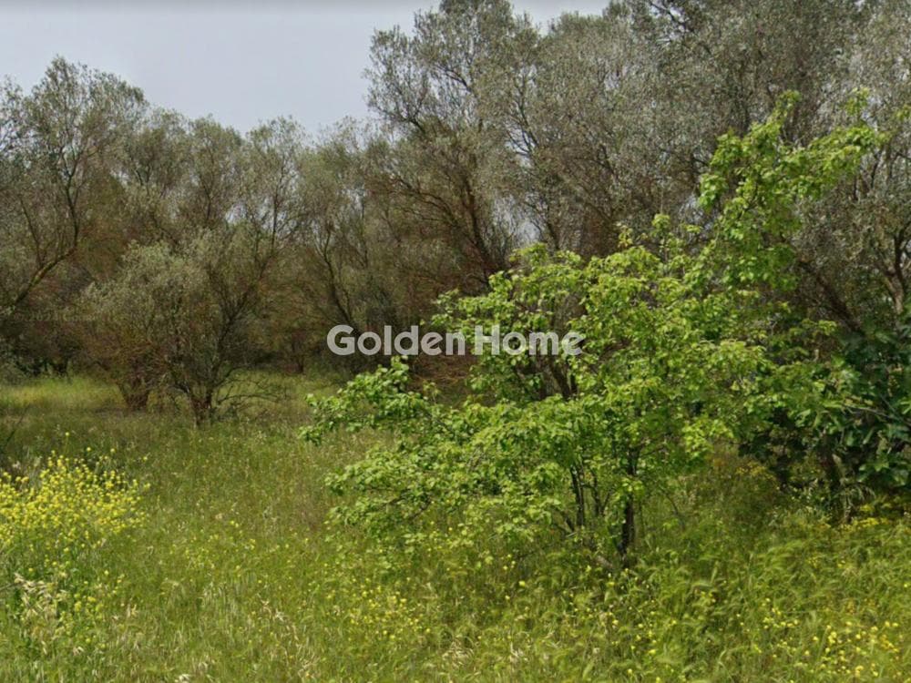 House in Nea Raidestos, Thermi — Photo 6 of 7