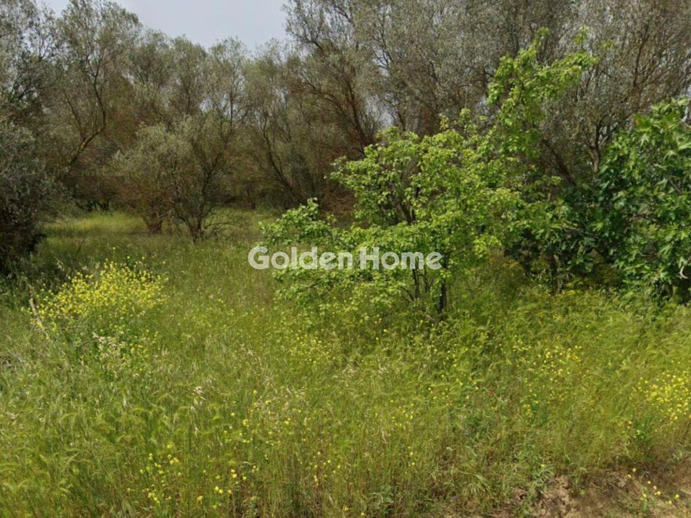House in Nea Raidestos, Thermi — Photo 7 of 7