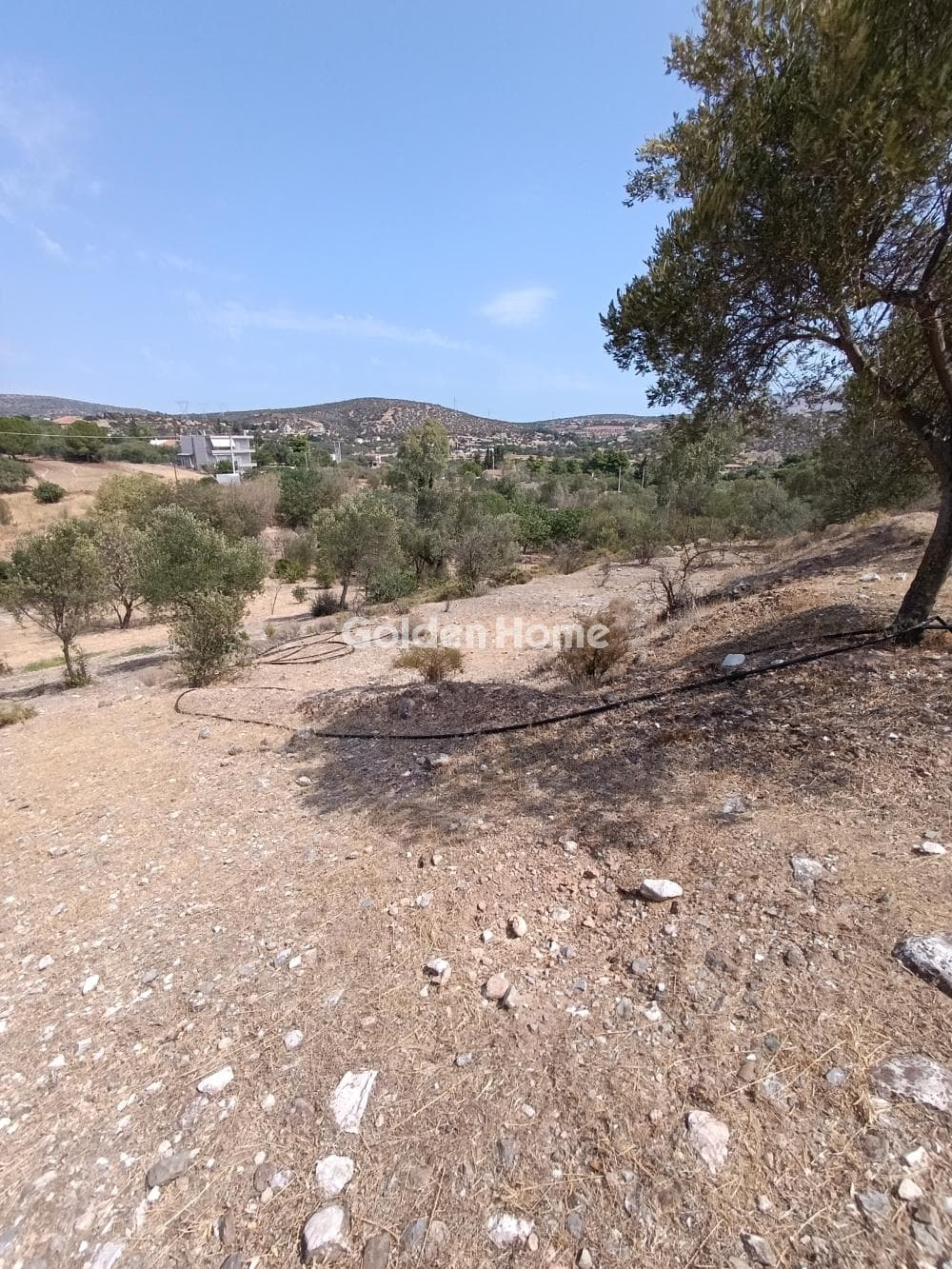 House in Lamprika, Koropi — Photo 6 of 71