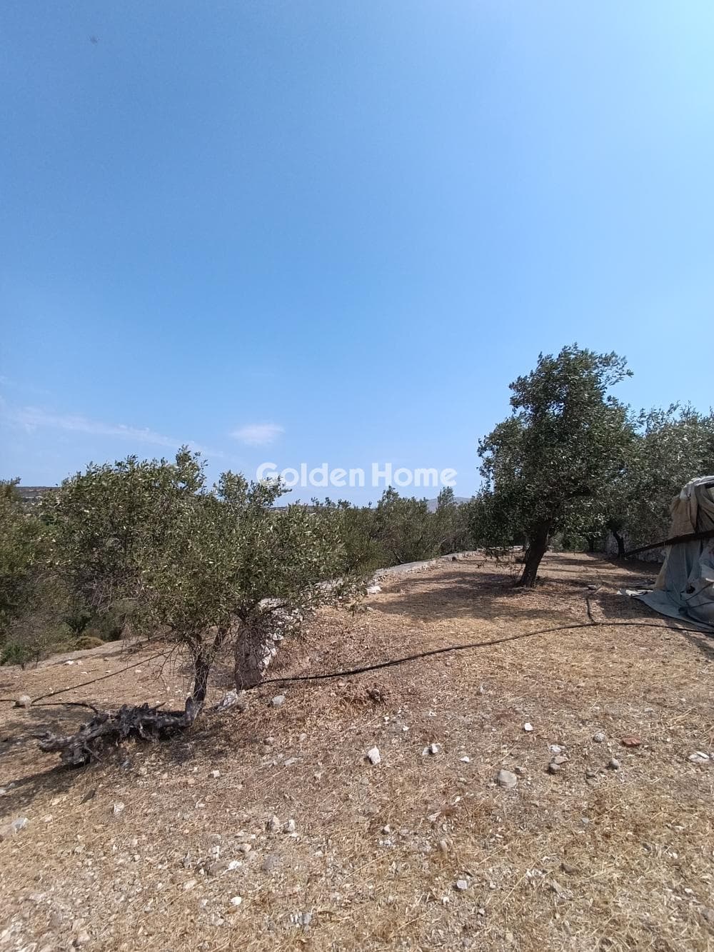 House in Lamprika, Koropi — Photo 7 of 71