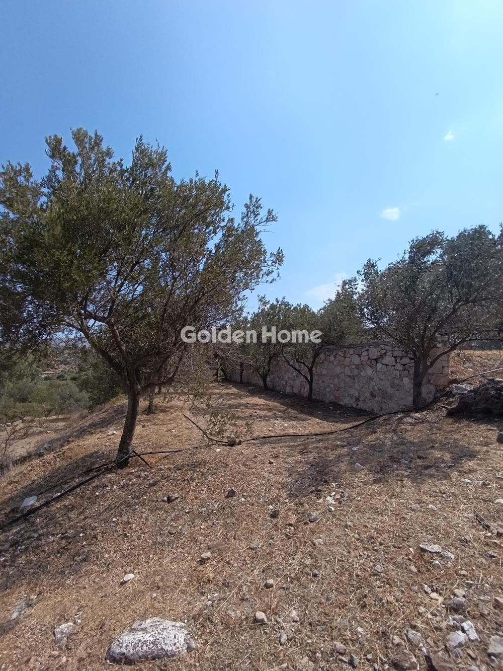 House in Lamprika, Koropi — Photo 8 of 71