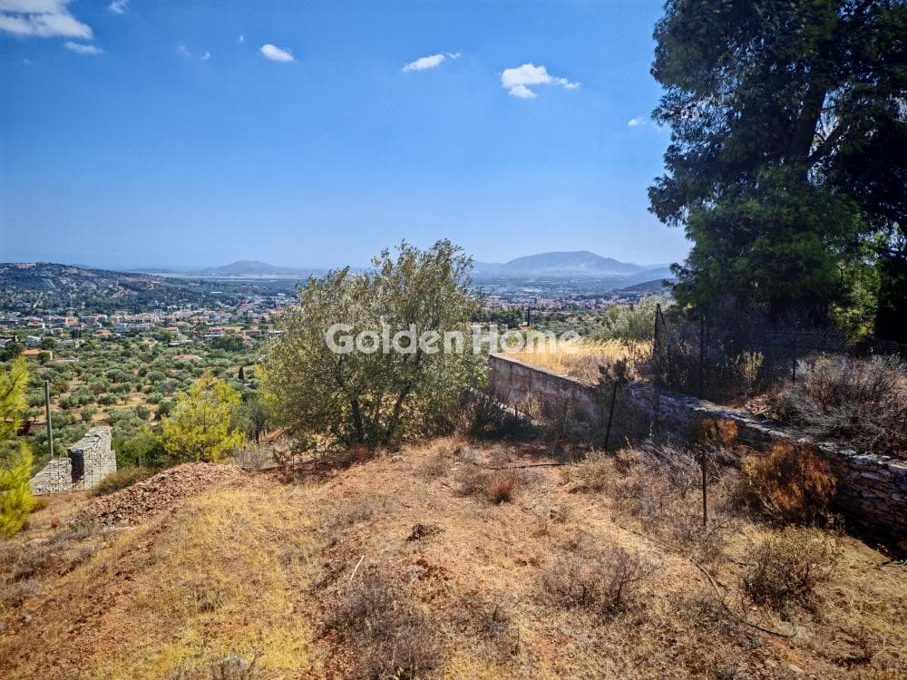 Αγροτεμάχιο στην Μουσείο Βορρέ, Παιανία — Φωτογραφία 2 από 3