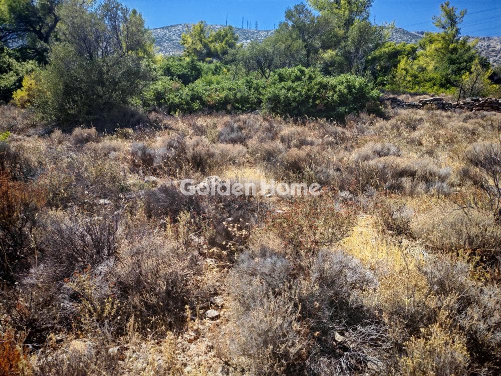 Αγροτεμάχιο στην Μουσείο Βορρέ, Παιανία — Φωτογραφία 2 από 2