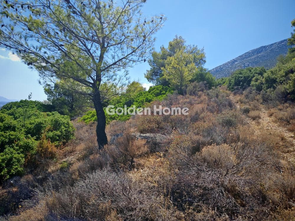 Αγροτεμάχιο στην Μουσείο Βορρέ, Παιανία — Φωτογραφία 2 από 2