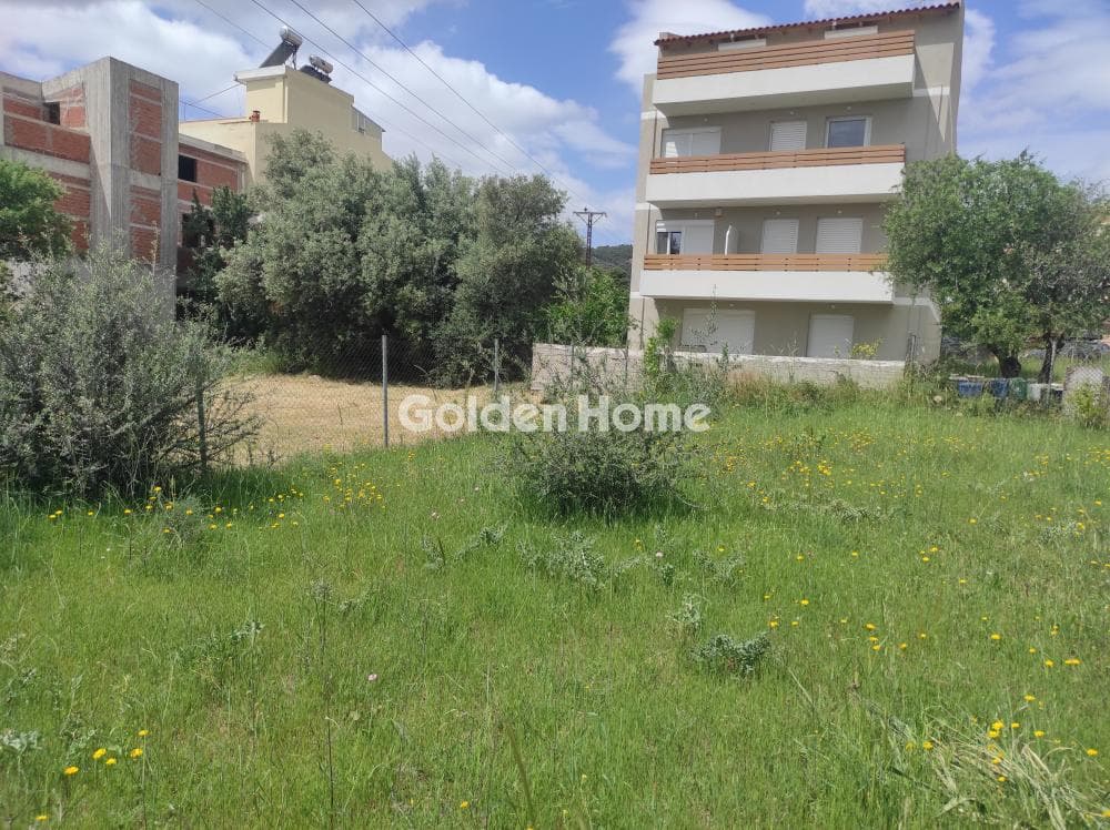 Οικόπεδο στην Μπάλανα, Γέρακας — Φωτογραφία 3 από 6
