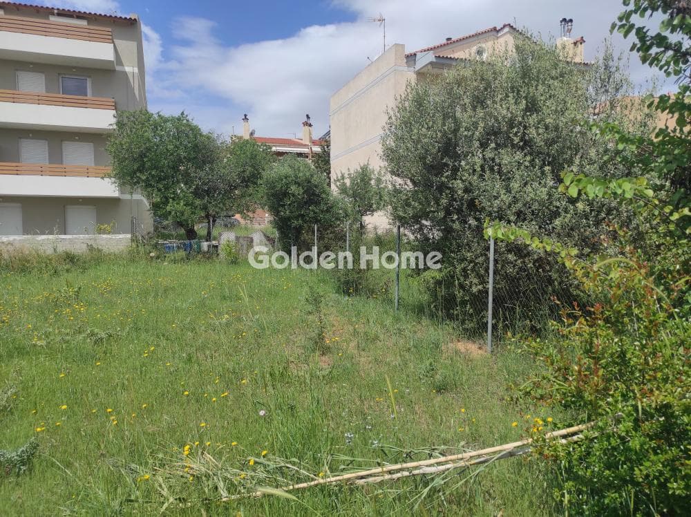 Οικόπεδο στην Μπάλανα, Γέρακας — Φωτογραφία 5 από 6