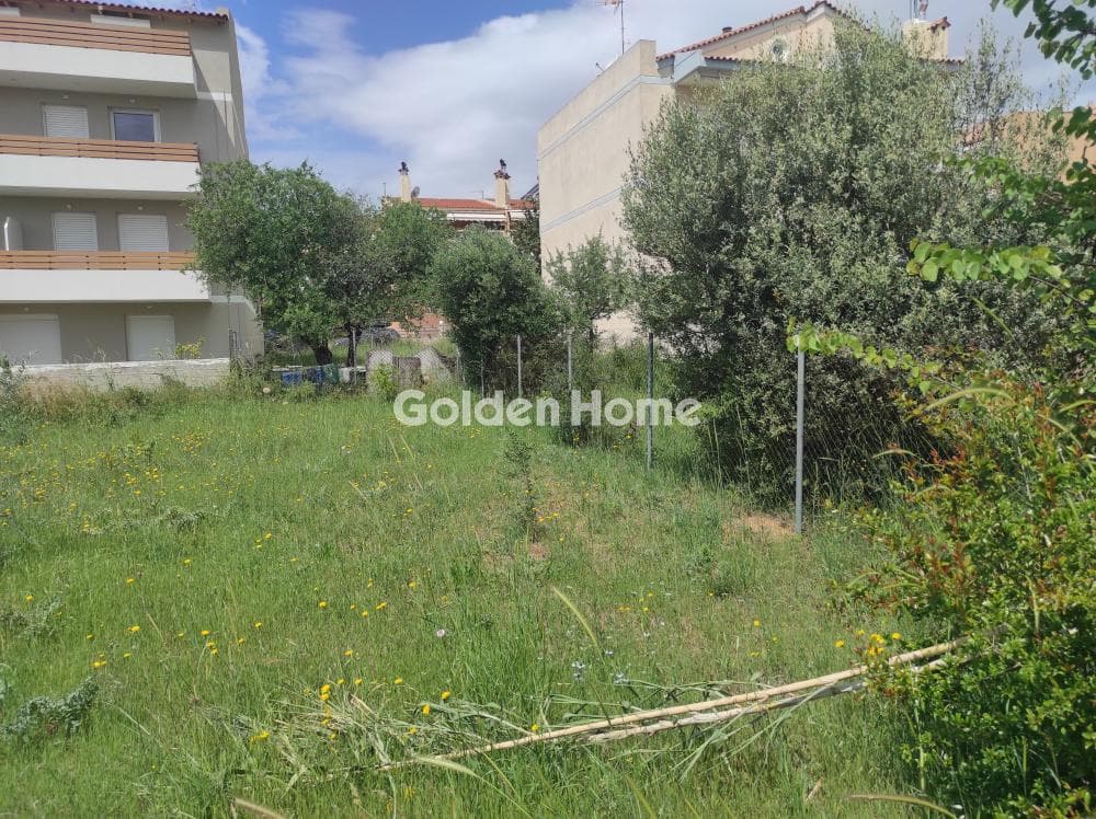 Οικόπεδο στην Μπάλανα, Γέρακας — Φωτογραφία 6 από 6