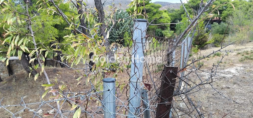 Οικόπεδο στην Καλλιθέα, Πεντέλη — Φωτογραφία 4 από 4