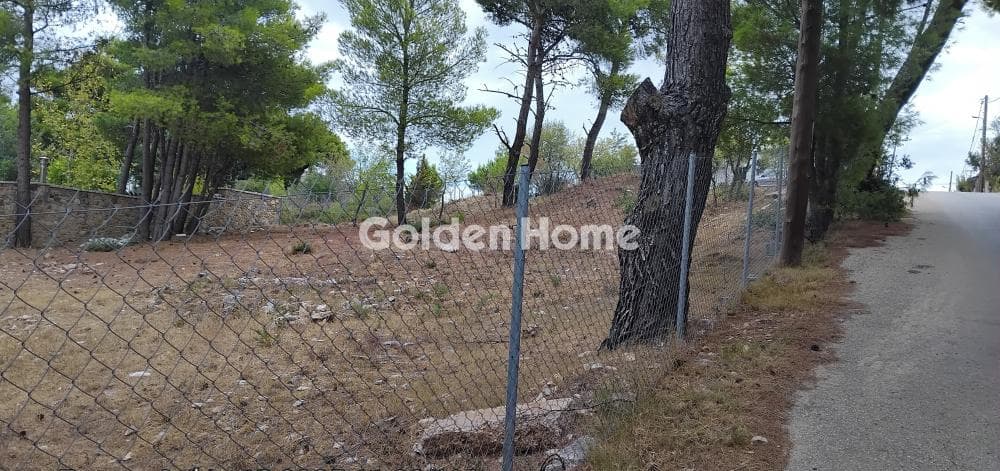 Οικόπεδο στην Καλλιθέα, Πεντέλη — Φωτογραφία 2 από 4
