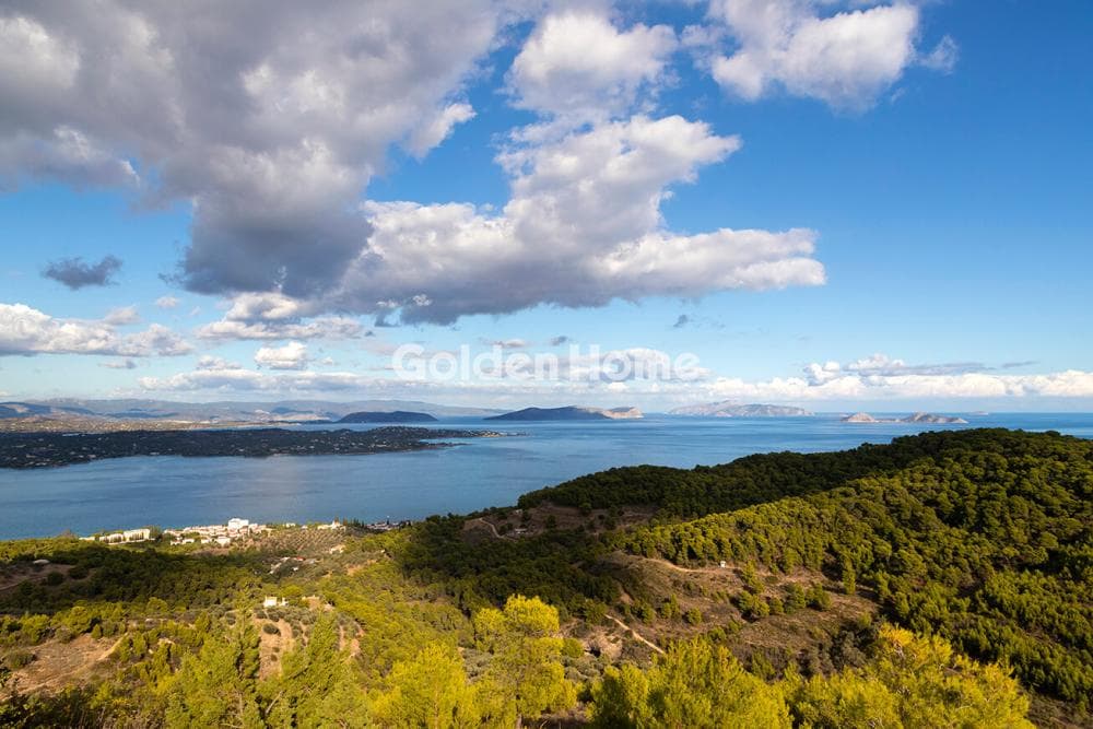 Μονοκατοικία στην Ποσείδι, Κασσάνδρα