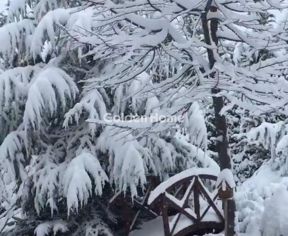 Μονοκατοικία στην Καλύβια, Αράχωβα — Φωτογραφία 5 από 24
